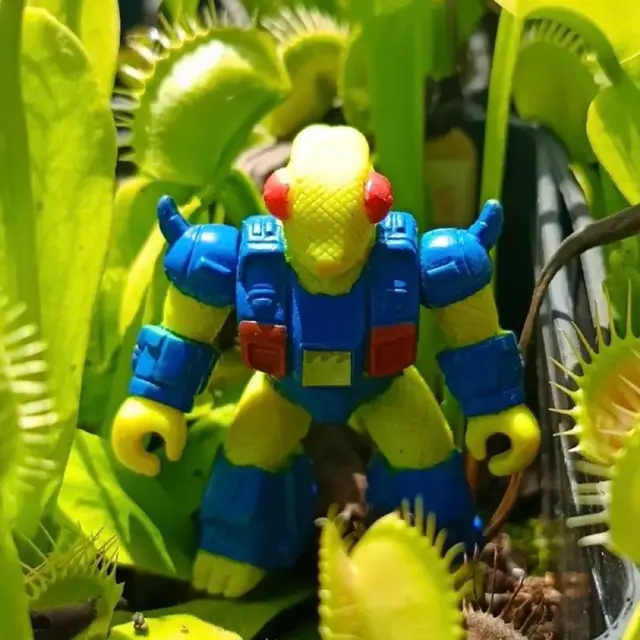 Delta Chameleon, Battle Beasts: Series 2