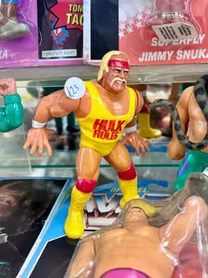 Hulk Hogan, WWF 1993